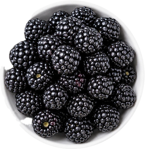 Bowl de moras frescas